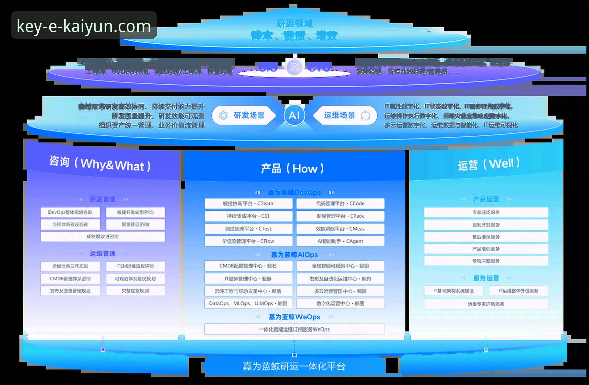 揭秘：资深用户才知道的开云登录支持攻略，安全与便捷的完美平衡